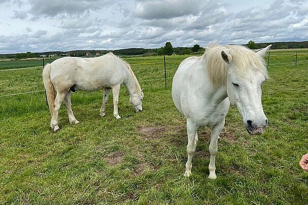 Foto: Johannes Marabini UNB LRA ERH Foto: Johannes Marabini UNB LRA ERH